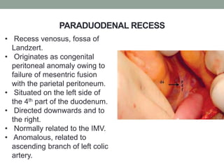 PARADUODENAL RECESS
• Recess venosus, fossa of
Landzert.
• Originates as congenital
peritoneal anomaly owing to
failure of mesentric fusion
with the parietal peritoneum.
• Situated on the left side of
the 4th part of the duodenum.
• Directed downwards and to
the right.
• Normally related to the IMV.
• Anomalous, related to
ascending branch of left colic
artery.
 