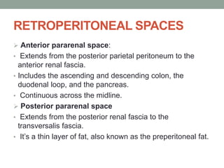 RETROPERITONEAL SPACES
 Anterior pararenal space:
• Extends from the posterior parietal peritoneum to the
anterior renal fascia.
• Includes the ascending and descending colon, the
duodenal loop, and the pancreas.
• Continuous across the midline.
 Posterior pararenal space
• Extends from the posterior renal fascia to the
transversalis fascia.
• It’s a thin layer of fat, also known as the preperitoneal fat.
 