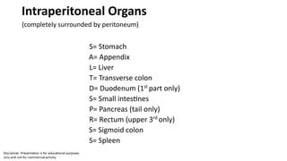 Intraperitoneal Organs
(completely surrounded by peritoneum)
S= Stomach
A= Appendix
L= Liver
T= Transverse colon
D= Duodenum (1st
part only)
S= Small intestines
P= Pancreas (tail only)
R= Rectum (upper 3rd
only)
S= Sigmoid colon
S= Spleen
 