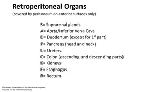 Retroperitoneal Organs
(covered by peritoneum on anterior surfaces only)
S= Suprarenal glands
A= Aorta/Inferior Vena Cava
D= Duodenum (except for 1st
part)
P= Pancreas (head and neck)
U= Ureters
C= Colon (ascending and descending parts)
K= Kidneys
E= Esophagus
R= Rectum
 