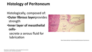 Histology of Peritoneum
Histologically, composed of:
•Outer fibrous layerprovides
strength
•Inner layer of mesothelial
cells-
secrete a serous fluid for
lubrication
https://www.slideshare.net/ahmedsalah925/anatomy-of-peritoneum
 