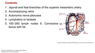 Contents
1. Jejunal and ileal branches of the superior mesenteric artery
2. Accompanying veins
3. Autonomic nerve plexuses
4. Lymphatics or lacteals
5. 100–200 lymph nodes 6. Connective
tissue with fat
https://www.slideshare.net/DrSherifFahmy/jejunum-ileum-anatomy-of-the-abdomen
 