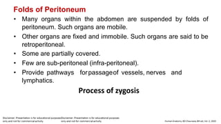 Folds of Peritoneum
• Many organs within the abdomen are suspended by folds of
peritoneum. Such organs are mobile.
• Other organs are fixed and immobile. Such organs are said to be
retroperitoneal.
• Some are partially covered.
• Few are sub-peritoneal (infra-peritoneal).
• Provide pathways forpassageof vessels, nerves and
lymphatics.
Process of zygosis
 