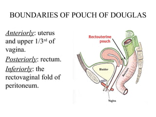 Anatomy Of Peritoneum With Applied Aspects PPTX anatomy-of-peritoneum-with-applied-aspects-pptx