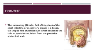 peritoneum pdf . education and pptx..... | PPTX