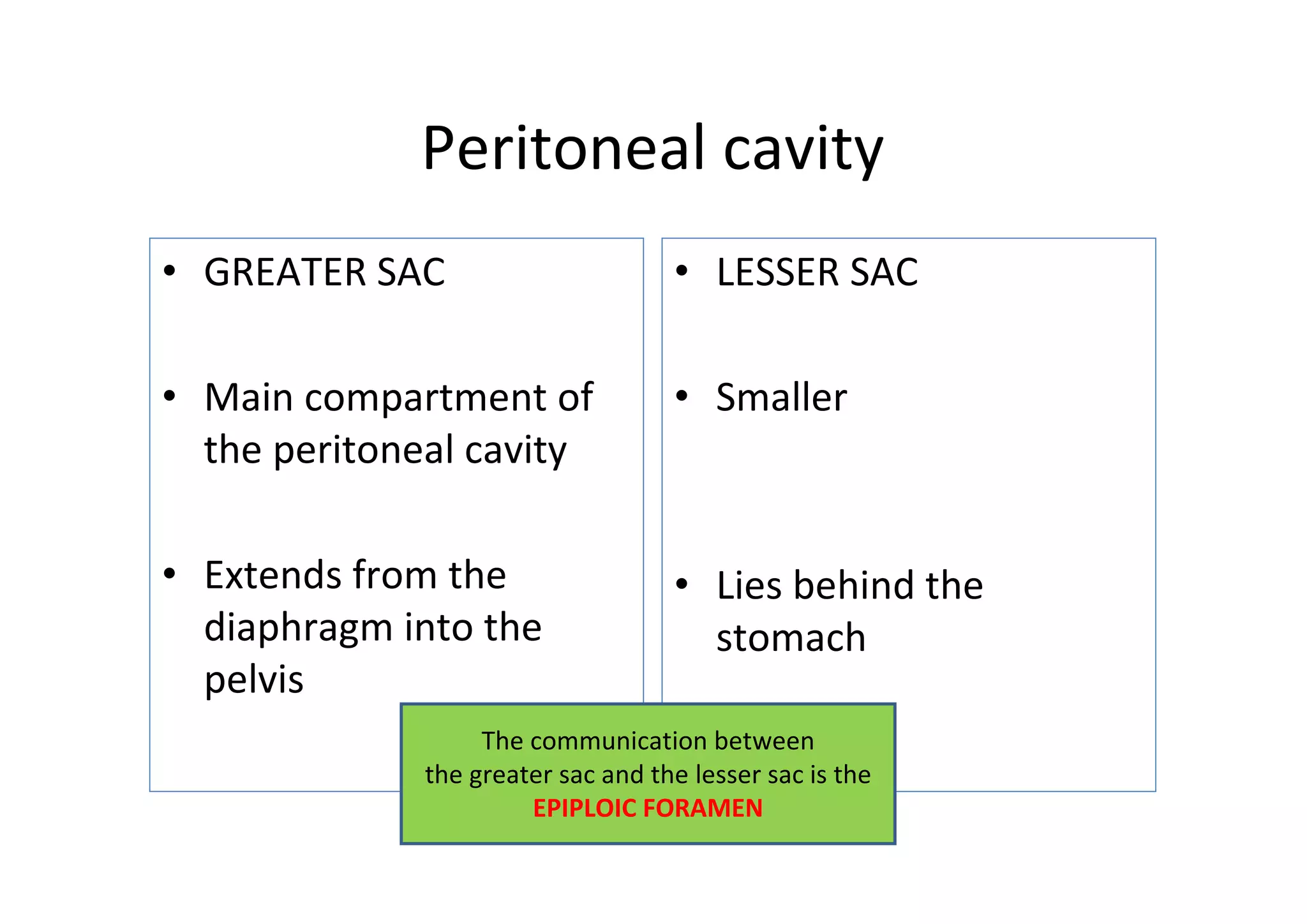Peritoneal cavity
• GREATER SAC                       • LESSER SAC

• Main compartment of               • Smaller
  the peritoneal cavity

• Extends from the                  • Lies behind the
  diaphragm into the                  stomach
  pelvis
                   The communication between
              the greater sac and the lesser sac is the
                       EPIPLOIC FORAMEN
 