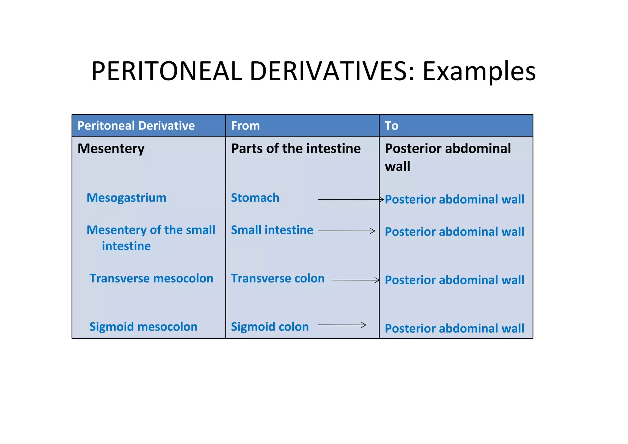 PERITONEAL DERIVATIVES: Examples
Peritoneal Derivative     From                     To
Mesentery                 Parts of the intestine   Posterior abdominal
                                                   wall

 Mesogastrium             Stomach                  Posterior abdominal wall

 Mesentery of the small   Small intestine          Posterior abdominal wall
   intestine

  Transverse mesocolon    Transverse colon         Posterior abdominal wall


  Sigmoid mesocolon       Sigmoid colon            Posterior abdominal wall
 