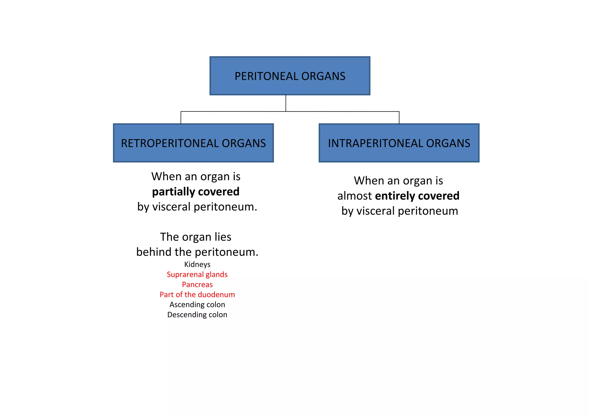 PERITONEAL ORGANS




RETROPERITONEAL ORGANS                 INTRAPERITONEAL ORGANS

     When an organ is                      When an organ is
     partially covered                  almost entirely covered
  by visceral peritoneum.                by visceral peritoneum

      The organ lies
  behind the peritoneum.
              Kidneys
        Suprarenal glands
             Pancreas
      Part of the duodenum
         Ascending colon
        Descending colon
 