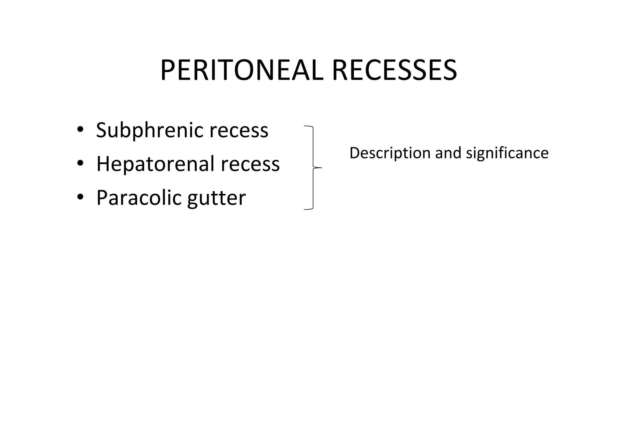 PERITONEAL RECESSES
• Subphrenic recess
                       Description and significance
• Hepatorenal recess
• Paracolic gutter
 