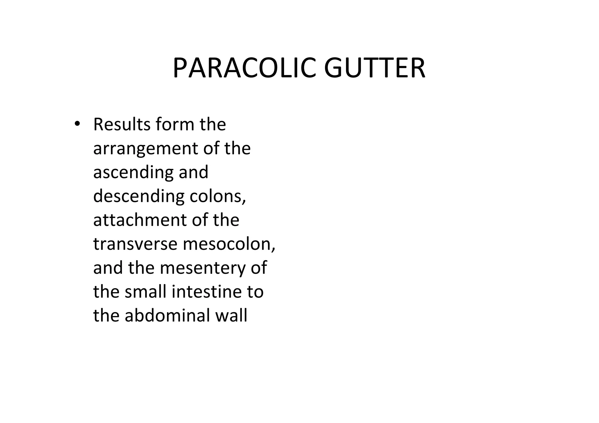 PARACOLIC GUTTER
• Results form the
  arrangement of the
  ascending and
  descending colons,
  attachment of the
  transverse mesocolon,
  and the mesentery of
  the small intestine to
  the abdominal wall
 