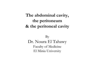 The abdominal cavity,
   the peritoneum
& the peritoneal cavity

            By
 Dr. Noura El Tahawy
    Faculty of Medicine
    El Minia University
 