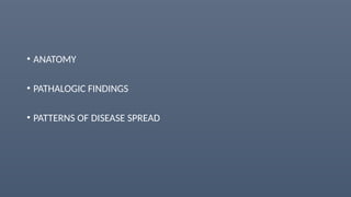 • ANATOMY
• PATHALOGIC FINDINGS
• PATTERNS OF DISEASE SPREAD
 