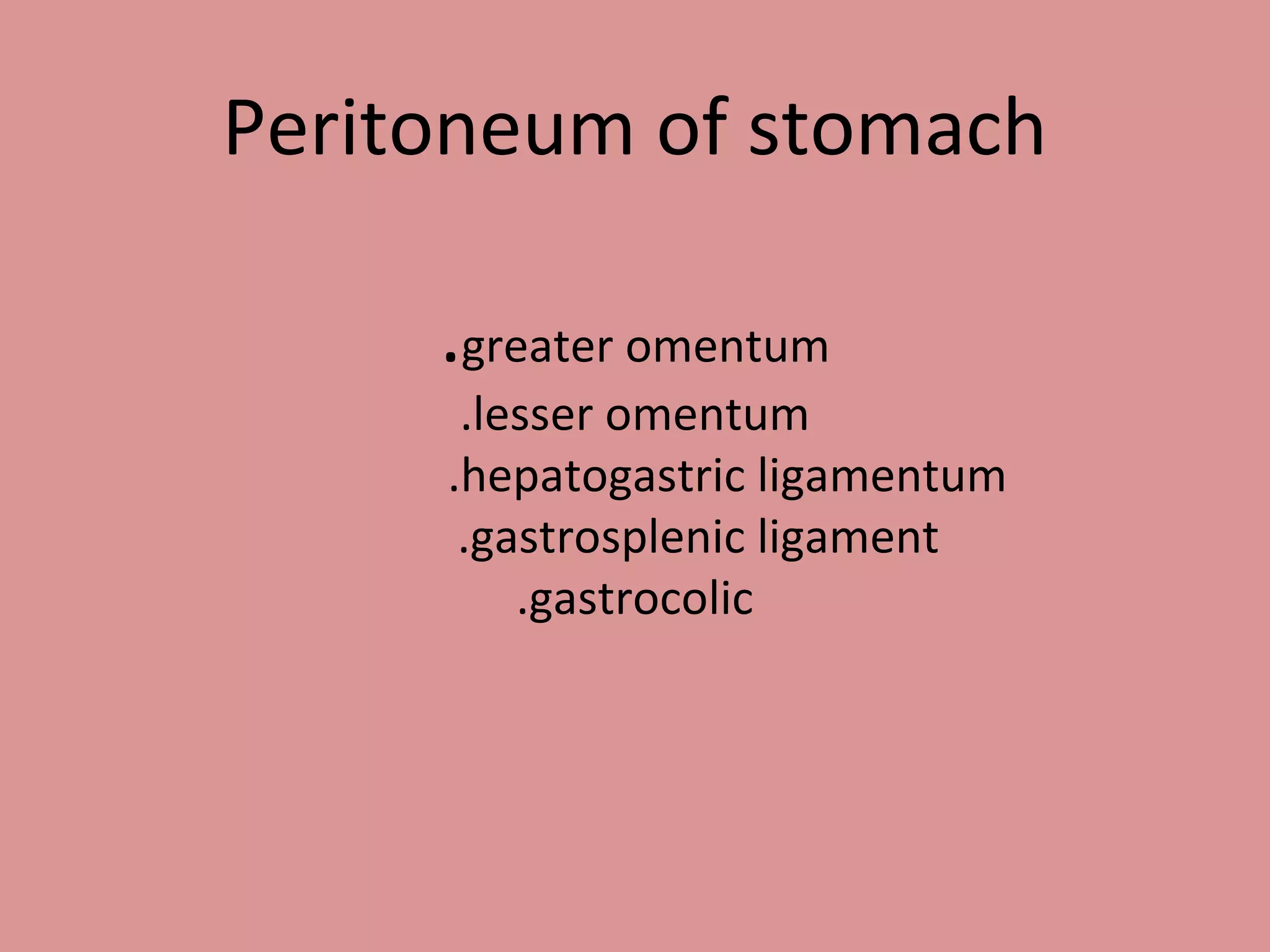Peritoneum of stomach
.greater omentum
.lesser omentum
.hepatogastric ligamentum
.gastrosplenic ligament
.gastrocolic
 