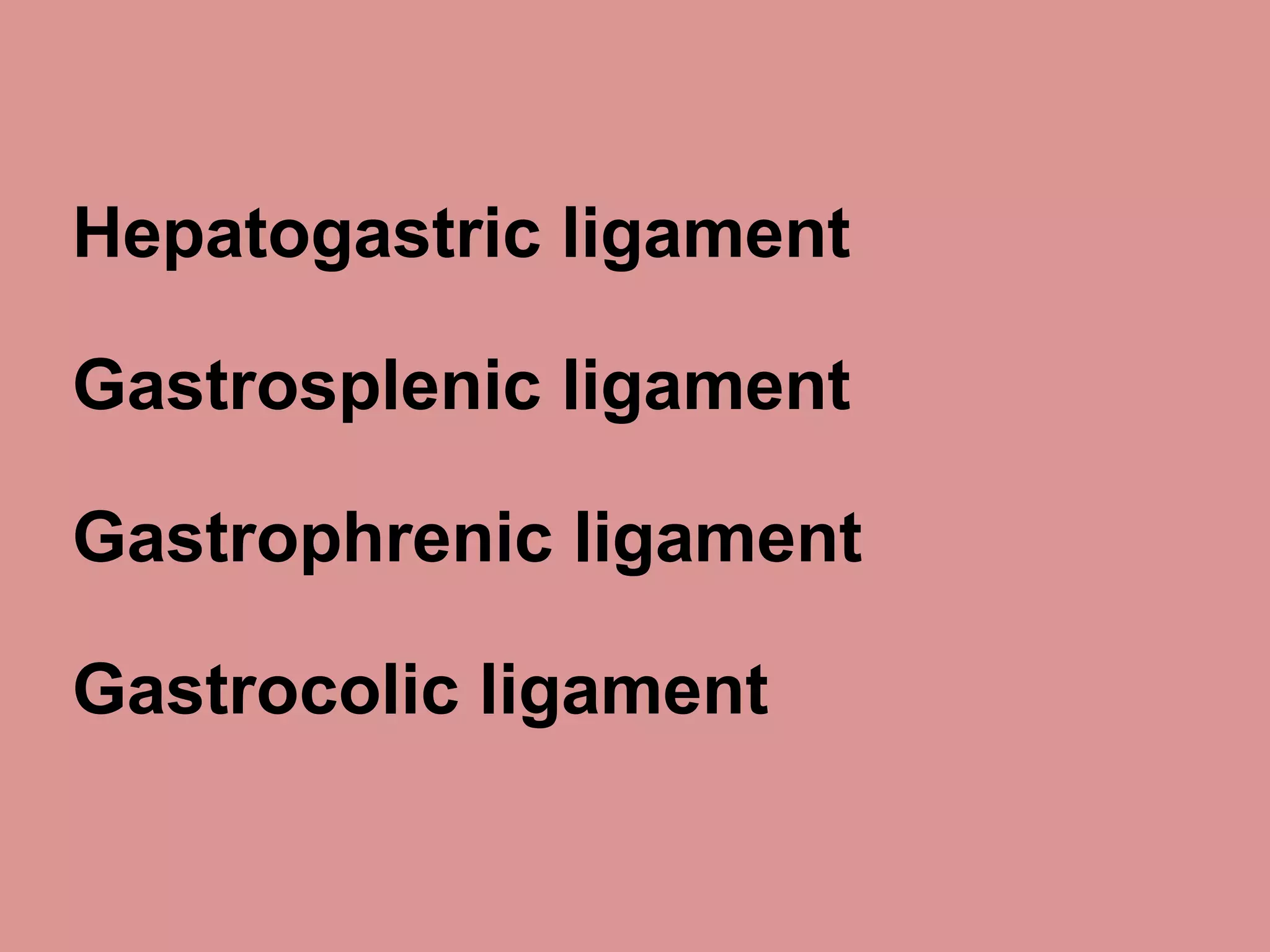 Hepatogastric ligament
Gastrosplenic ligament
Gastrophrenic ligament
Gastrocolic ligament
 