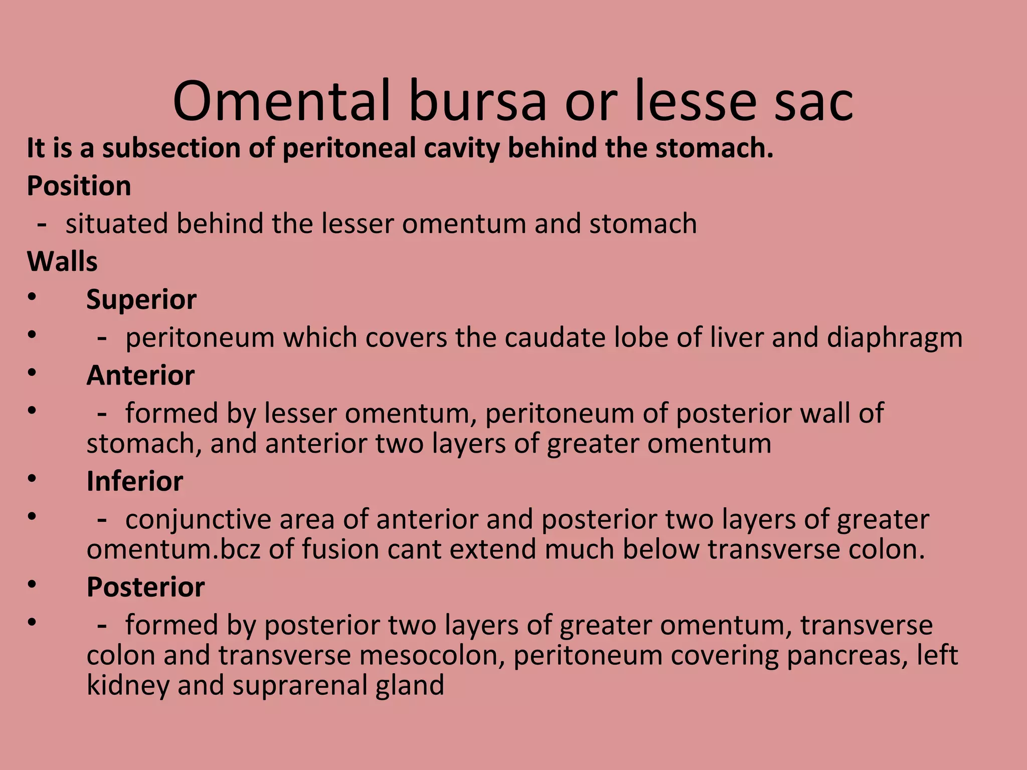 Omental bursa or lesse sac
It is a subsection of peritoneal cavity behind the stomach.
Position
－ situated behind the lesser omentum and stomach
Walls
• Superior
• － peritoneum which covers the caudate lobe of liver and diaphragm
• Anterior
• － formed by lesser omentum, peritoneum of posterior wall of
stomach, and anterior two layers of greater omentum
• Inferior
• － conjunctive area of anterior and posterior two layers of greater
omentum.bcz of fusion cant extend much below transverse colon.
• Posterior
• － formed by posterior two layers of greater omentum, transverse
colon and transverse mesocolon, peritoneum covering pancreas, left
kidney and suprarenal gland
 
