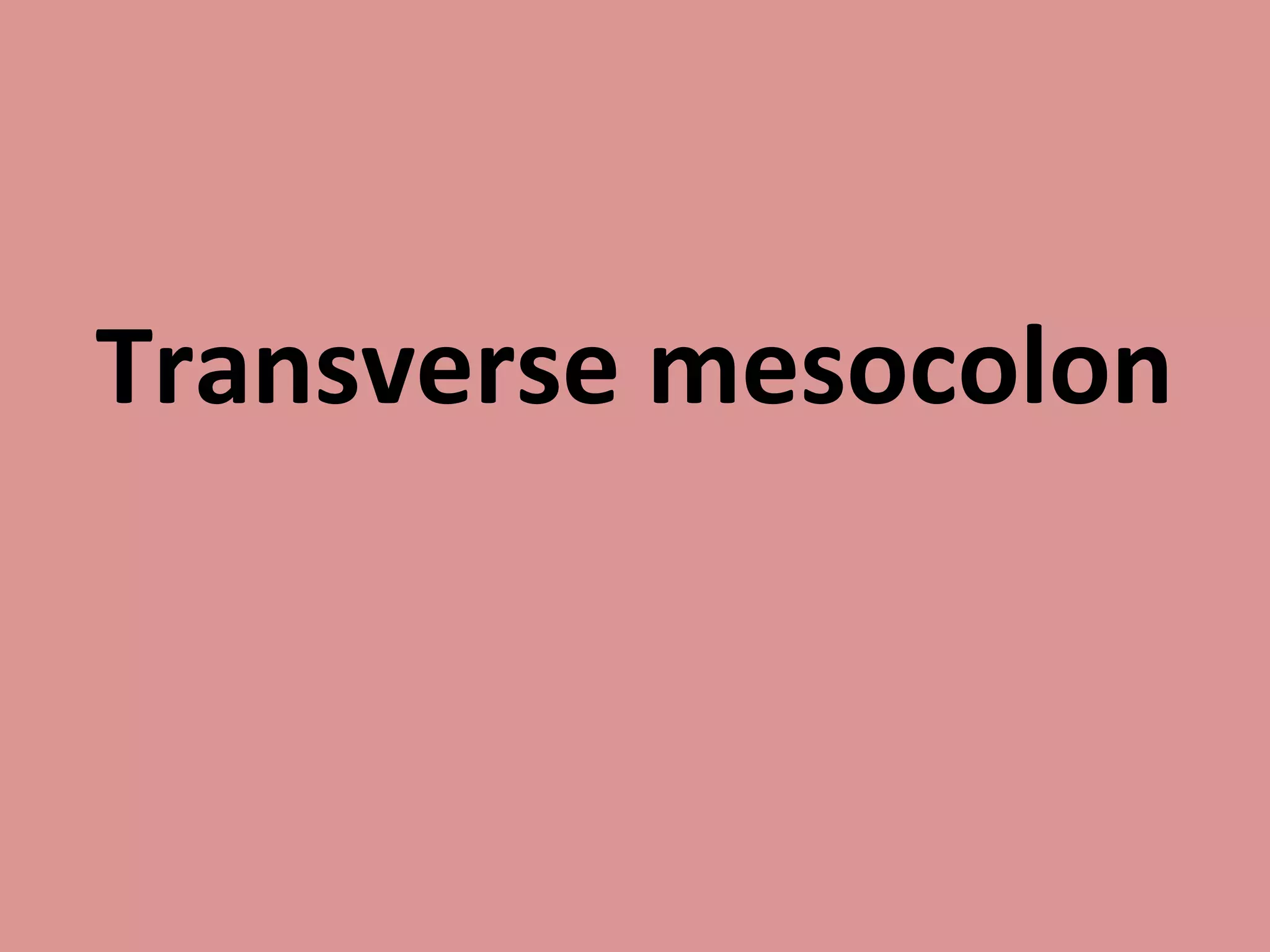 Transverse mesocolon
 