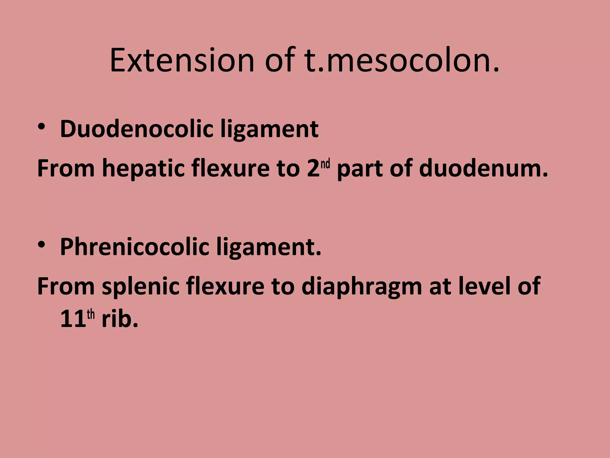Extension of t.mesocolon.
• Duodenocolic ligament
From hepatic flexure to 2nd
part of duodenum.
• Phrenicocolic ligament.
From splenic flexure to diaphragm at level of
11th
rib.
 