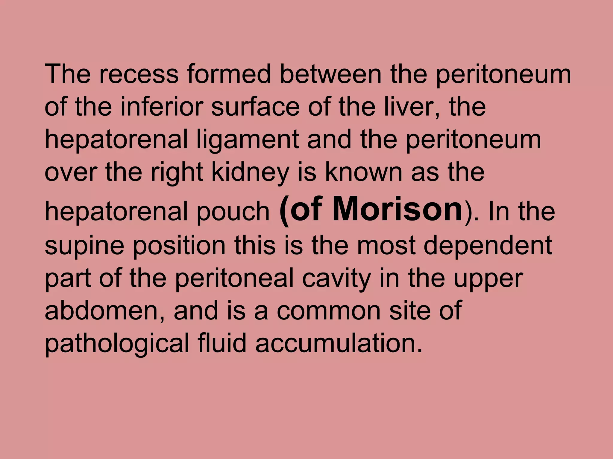 The recess formed between the peritoneum
of the inferior surface of the liver, the
hepatorenal ligament and the peritoneum
over the right kidney is known as the
hepatorenal pouch (of Morison). In the
supine position this is the most dependent
part of the peritoneal cavity in the upper
abdomen, and is a common site of
pathological fluid accumulation.
 