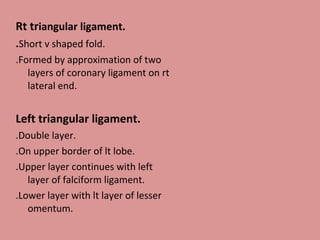 Rt triangular ligament.
.Short v shaped fold.
.Formed by approximation of two
layers of coronary ligament on rt
lateral end.
Left triangular ligament.
.Double layer.
.On upper border of lt lobe.
.Upper layer continues with left
layer of falciform ligament.
.Lower layer with lt layer of lesser
omentum.
 