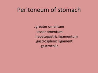 Peritoneum of stomach
.greater omentum
.lesser omentum
.hepatogastric ligamentum
.gastrosplenic ligament
.gastrocolic
 