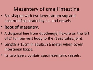 Mesentery of small intestine
• Fan shaped with two layers anterosup and
posteroinf separated by c.t. and vessels.
• Root of mesentry.
• A diagonal line from duodenojej flexure on the left
of 2nd
lumber vert body to the rt sacroiliac joint.
• Length is 15cm in adults.n 6 meter when cover
intestineal loops.
• Its two layers contain sup.mesenteric vessels.
 