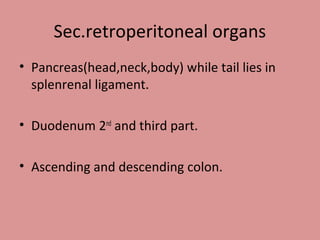 Sec.retroperitoneal organs
• Pancreas(head,neck,body) while tail lies in
splenrenal ligament.
• Duodenum 2nd
and third part.
• Ascending and descending colon.
 