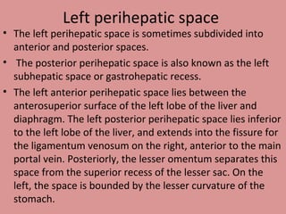 Left perihepatic space
• The left perihepatic space is sometimes subdivided into
anterior and posterior spaces.
• The posterior perihepatic space is also known as the left
subhepatic space or gastrohepatic recess.
• The left anterior perihepatic space lies between the
anterosuperior surface of the left lobe of the liver and
diaphragm. The left posterior perihepatic space lies inferior
to the left lobe of the liver, and extends into the fissure for
the ligamentum venosum on the right, anterior to the main
portal vein. Posteriorly, the lesser omentum separates this
space from the superior recess of the lesser sac. On the
left, the space is bounded by the lesser curvature of the
stomach.
 