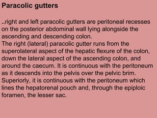 Paracolic gutters
..right and left paracolic gutters are peritoneal recesses
on the posterior abdominal wall lying alongside the
ascending and descending colon.
The right (lateral) paracolic gutter runs from the
superolateral aspect of the hepatic flexure of the colon,
down the lateral aspect of the ascending colon, and
around the caecum. It is continuous with the peritoneum
as it descends into the pelvis over the pelvic brim.
Superiorly, it is continuous with the peritoneum which
lines the hepatorenal pouch and, through the epiploic
foramen, the lesser sac.
 