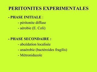 PERITONITES EXPERIMENTALES
- PHASE INITIALE :
     - péritonite diffuse
     - aérobie (E. Coli)

- PHASE SECONDAIRE :
     - abcédation localisée
     - anaérobie (bactéroides fragilis)
     - Métronidazole
 