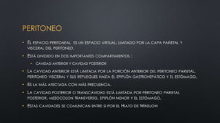 PERITONEO
• EL ESPACIO PERITONEAL ES UN ESPACIO VIRTUAL, LIMITADO POR LA CAPA PARIETAL Y
VISCERAL DEL PERITONEO.
• ESTÁ DIVIDIDO EN DOS IMPORTANTES COMPARTIMIENTOS :
• CAVIDAD ANTERIOR Y CAVIDAD POSTERIOR
• LA CAVIDAD ANTERIOR ESTÁ LIMITADA POR LA PORCIÓN ANTERIOR DEL PERITONEO PARIETAL,
PERITONEO VISCERAL Y SUS REPLIEGUES HASTA EL EPIPLÓN GASTROHEPÁTICO Y EL ESTÓMAGO.
• ES LA MÁS AFECTADA CON MÁS FRECUENCIA.
• LA CAVIDAD POSTERIOR O TRANSCAVIDAD ESTÁ LIMITADA POR PERITONEO PARIETAL
POSTERIOR, MESOCOLON TRANSVERSO, EPIPLÓN MENOR Y EL ESTÓMAGO.
• ESTAS CAVIDADES SE COMUNICAN ENTRE SI POR EL HIATO DE WINSLOW
 