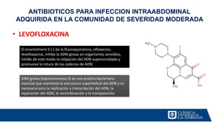 • LEVOFLOXACINA
ANTIBIOTICOS PARA INFECCION INTRAABDOMINAL
ADQUIRIDA EN LA COMUNIDAD DE SEVERIDAD MODERADA
El enantiómero S (-) de la fluoroquinolona, ofloxacina,
levofloxacina, inhibe la ADN-girasa en organismos sensibles,
inhibe de este modo la relajación del ADN superenrollado y
promueve la rotura de las cadenas de ADN.
DNA girasa (topoisomerasa II) es una enzima bacteriana
esencial que mantiene la estructura superhelical del ADN y es
necesaria para la replicación y transcripción del ADN, la
reparación del ADN, la recombinación y la transposición.
 