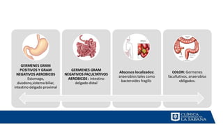 GERMENES GRAM
POSITIVOS Y GRAM
NEGATIVOS AEROBICOS
Estomago,
duodeno,sistema biliar,
intestino delgado proximal
GERMENES GRAM
NEGATIVOS FACULTATIVOS
AEROBICOS : intestino
delgado distal
Abscesos localizados:
anaerobios tales como
bacteroides fragilis.
COLON: Germenes
facultativos, anaerobios
obligados.
 