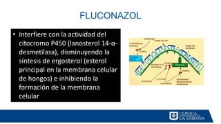 FLUCONAZOL
• Interfiere con la actividad del
citocromo P450 (lanosterol 14-α-
desmetilasa), disminuyendo la
síntesis de ergosterol (esterol
principal en la membrana celular
de hongos) e inhibiendo la
formación de la membrana
celular
 