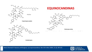 Alexis Diomedi P. Nuevos antifúngicos: Las equinocandinas. Rev Chil Infect 2004; 21 (2): 89-101
EQUINOCANDINAS
 