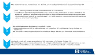 A
•Tras la administración oral, moxifloxacina es bien absorbida, con una biodisponibilidad absoluta de aproximadamente el 90%
D
•Unión a proteínas plasmáticas en un 50%, independientemente de la concentración.
•La moxifloxacina se distribuye ampliamente en el cuerpo y tiene una buena penetración en los tejidos y fluidos de las vías
respiratorias. El antibiótico se ha detectado en la mucosa de los senos frontales, secreciones nasales y bronquiales, saliva,
músculo esquelético, el líquido de las ampollas de la piel y en el tejido subcutáneo. Las concentraciones tisulares a menudo
superan las concentraciones plasmática
M
•se metaboliza a través de la conjugación a glucurónido y sulfato.
•Las enzimas del citocromo P450 no están involucradas en el metabolismo de la moxifloxacina, ni se ven afectadas por
moxifloxacina.
• El glucurónido y sulfato conjugados representan alrededor del 14% y el 38% de la dosis administrada, respectivamente. Lo
E
•Linalterada a través de la orina es aproximadamente 20%, mientras que en las heces se elimina el 25%.
•El metabolito glucurónido se excreta exclusivamente en la orina y el metabolito sulfato, se elimina principalmente en las heces.
•Aproximadamente el 97% de una dosis oral total se excreta, ya sea como fármaco inalterado o metabolitos conocidos.
 