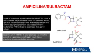 AMPICILINA/SULBACTAM
AMPICILINA
SULBACTAM
Inhibe la síntesis de la pared celular bacteriana por unión a
una o más de las proteínas de unión a la penicilina (PBPs),
que a su vez inhibe la etapa final de transpeptidación de la
síntesis de peptidoglicano en las paredes celulares
bacterianas, inhibiendo así la biosíntesis de la pared
celular.
La adición un de inhibidor de beta-lactamasa, a la ampicilina
extiende el espectro de ampicilina para incluir algunos
organismos productores de beta-lactamasa.
 