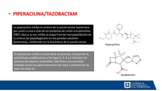 • PIPERACILINA/TAZOBACTAM
Piperacilina
tazobactam
La piperacilina inhibe la síntesis de la pared celular bacteriana
por unión a una o más de las proteínas de unión a la penicilina
(PBP); Que a su vez inhibe la etapa final de transpeptidación de
la síntesis de peptidoglicano en las paredes celulares
bacterianas, inhibiendo así la biosíntesis de la pared celular
El tazobactam inhibe muchas beta-lactamasas, incluyendo la
penicilinasa estafilocócica y los tipos 2, 3, 4 y 5 incluidas las
enzimas de espectro extendido; Sólo tiene una actividad
limitada contra las beta-lactamasas de clase 1 distintas de los
tipos de clase 1C.
 