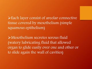 Each layer consist of areolar connective
tissue covered by mesothelium (simple
squamous epithelium)
Mesothelium secretes serous fluid
(watery lubricating fluid that allowed
organ to glide easily over one and other or
to slide again the wall of cavities)
 