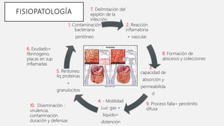 FISIOPATOLOGÍA
2. Reacción
inflamatoria
+ vascular
3. +
capacidad de
absorción y
permeabilida
d
4. - Motilidad
Luz: gas +
liquido=
distención
5. Peritoneo:
liq proteínas
+
granulocitos
1. Contaminación
bacteriana
peritóneo
6. Exudado=
fibrinógeno,
placas en sup
inflamadas
7. Delimitación del
epiplón de la
infección
8. Formación de
abscesos y colecciones
9. Proceso falla= perotinitis
difusa
10. Diseminación :
virulencia,
contaminación
duración y defensas
 