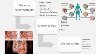 Bacterias
multirrecistentes
• S. Epidermidis
• Cepas Cándida
• Serratia
• Acinetobacter
• Pseudomona Auriginosa
• Bacilos no fermentadores
Cambio de flora
• Propio
paciente
• UCI
Enfermo Crítico
• Hipoperfusión
• Ayuno
• Eliminación flora
• Atrofia mucosa
• Traslocación
 