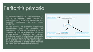 Peritonitis primaria
• La peritonitis primaria es poco frecuente (1-
2%) y se observa básicamente en
pacientes con ascitis que presentan una
infección peritoneal sin una causa
evidente.
• En los adultos, la peritonitis bacteriana
espontánea (PBE) se presenta en
pacientes con cirrosis hepática y ascitis
aunque raramente se han descrito casos
en pacientes con insuficiencia cardíaca,
linfedema, ascitis metastásica, nefropatía
lúpica o sin ninguna enfermedad de base.
En la población infantil esta complicación,
que actualmente es excepcional, aparece
en niños afectos de síndrome nefrótico
 
