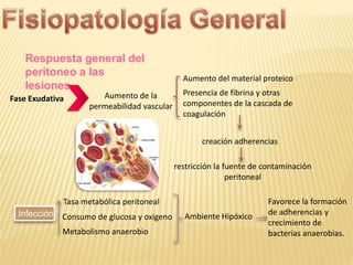 Fase Exudativa Aumento de la
permeabilidad vascular
Aumento del material proteico
Presencia de fibrina y otras
componentes de la cascada de
coagulación
creación adherencias
restricción la fuente de contaminación
peritoneal
Infección
Tasa metabólica peritoneal
Consumo de glucosa y oxigeno
Metabolismo anaerobio
Ambiente Hipóxico
Respuesta general del
peritoneo a las
lesiones
Favorece la formación
de adherencias y
crecimiento de
bacterias anaerobias.
 