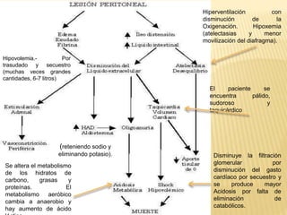 Hipovolemia.- Por
trasudado y secuestro
(muchas veces grandes
cantidades, 6-7 litros)
(reteniendo sodio y
eliminando potasio).
El paciente se
encuentra pálido,
sudoroso y
taquicárdico
Hiperventilación con
disminución de la
Oxigenación. Hipoxemia
(atelectasias y menor
movilización del diafragma).
Disminuye la filtración
glomerular por
disminución del gasto
cardíaco por secuestro y
se produce mayor
Acidosis por falta de
eliminación de
catabólicos.
Se altera el metabolismo
de los hidratos de
carbono, grasas y
proteínas. El
metabolismo aeróbico
cambia a anaerobio y
hay aumento de ácido
 