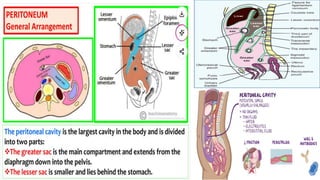 Peritonitis - Different Types and Special Forms | PDF