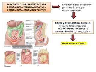 MOVIMIENTOS DIAFRAGMÁTICOS + LA
PRESIÓN INTRA-TORÁCICA NEGATIVA +
PRESIÓN INTRA-ABDOMINAL POSITIVA
Favorecen el flujo de líquido y
partículas  Tórax y la
circulación general
Entre 1 y 3 litros diarios a través del
conducto torácico izquierdo
*CAPACIDAD DE TRANSPORTE
aproximadamente 0,5-1 mg/kg/día.
CLEARANCE PERITONEAL
 