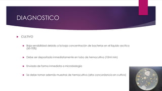 DIAGNOSTICO
 CULTIVO
 Baja sensibilidad debido a la baja concentración de bacterias en el liquido ascitico
(50-70%)
 Debe ser depositada inmediatamente en tubo de hemocultivo (10ml min)
 Enviada de forma inmediata a microbiología
 Se debe tomar además muestras de hemocultivo (alta concordancia en cultivo)
 