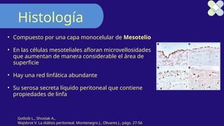 Histología
• Compuesto por una capa monocelular de Mesotelio
• En las células mesoteliales afloran microvellosidades
que aumentan de manera considerable el área de
superficie
• Hay una red linfática abundante
• Su serosa secreta líquido peritoneal que contiene
propiedades de linfa
Gotloib L., Shostak A.,
Wajsbrot V. La diálisis peritoneal. Montenegro J., Olivares J., págs. 27-56
 