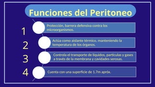 2
Funciones del Peritoneo
1
4
3
Protección, barrera defensiva contra los
microorganismos.
Actúa como aislante térmico, manteniendo la
temperatura de los órganos.
Controla el transporte de líquidos, partículas y gases
a través de la membrana y cavidades serosas.
Cuenta con una superficie de 1.7m apróx.
 