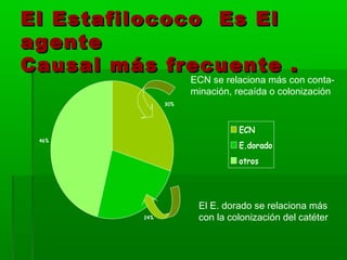 El Estafilococo Es El
agente
Causal más frecuente .
                     ECN se relaciona más con conta-
                     minación, recaída o colonización
               30%




                               ECN
 46%
                               E.dorado
                               otros




                      El E. dorado se relaciona más
         24%          con la colonización del catéter
 