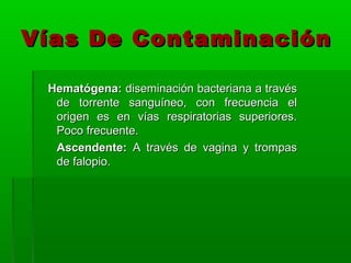 Vías De Contaminación

 Hematógena: diseminación bacteriana a través
  de torrente sanguíneo, con frecuencia el
  origen es en vías respiratorias superiores.
  Poco frecuente.
  Ascendente: A través de vagina y trompas
  de falopio.
 